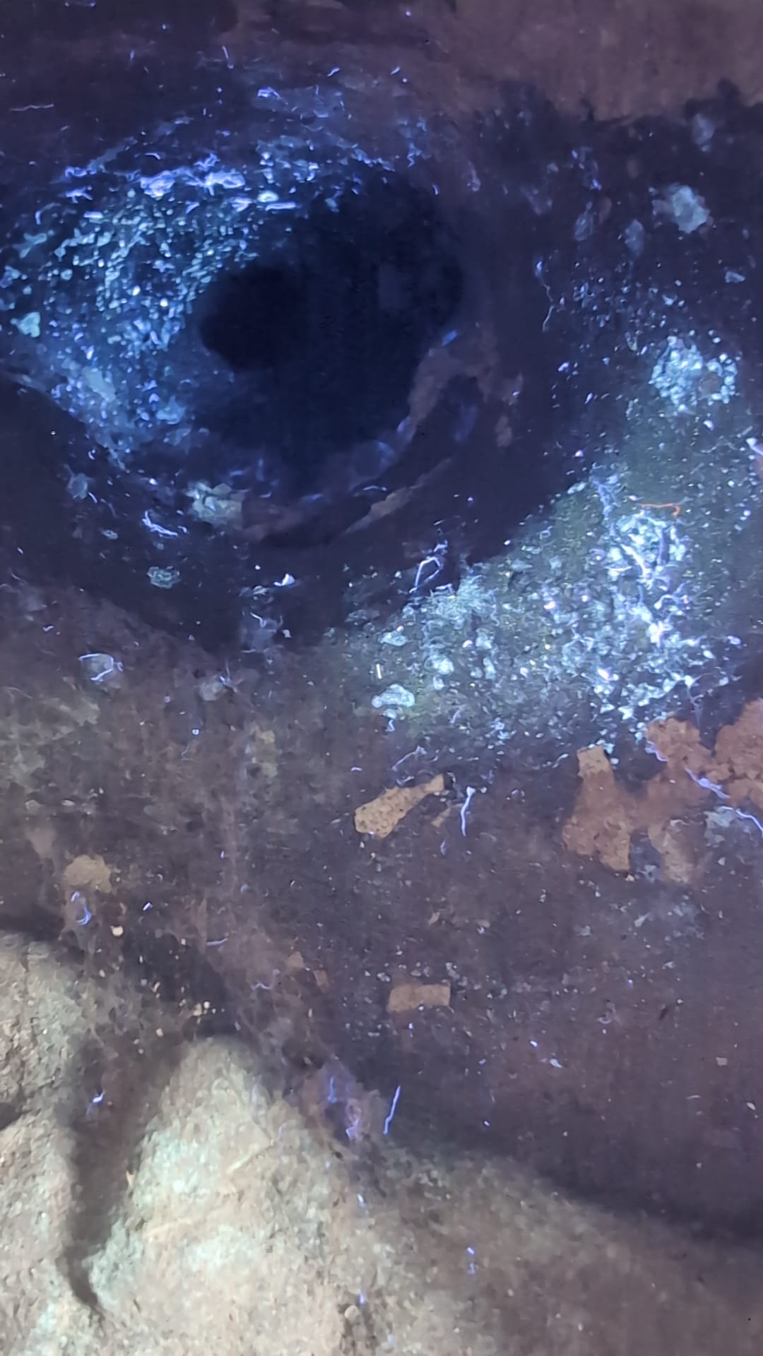 Vuurvergulde bronzen Geneesheer Boeddha uit de 19e eeuw