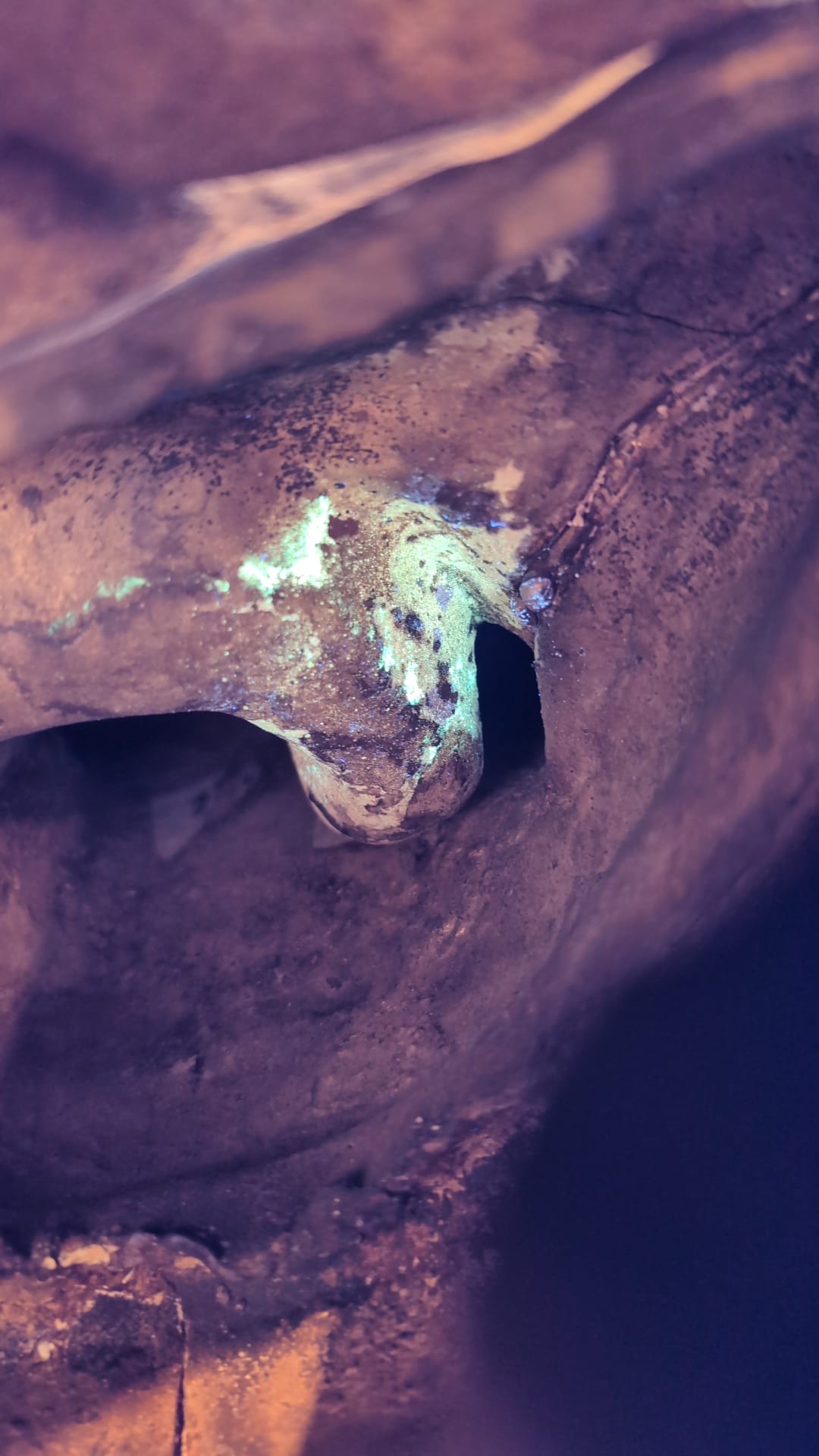 uv lamp test op oud brons