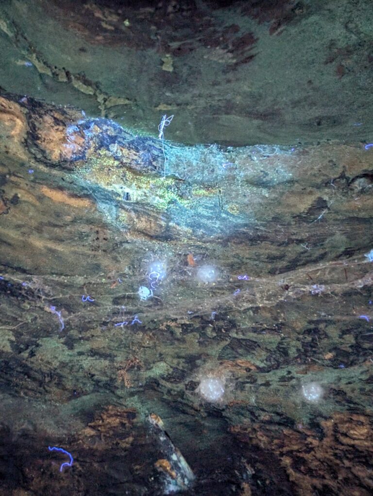 Bronzen Theravada Boeddha met oorspronkelijke vuurvergulding