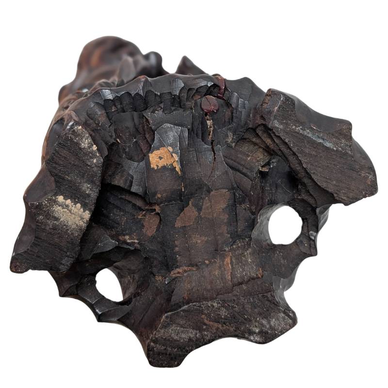 Japans Ebisu beeld, god van de zee en voorspoed