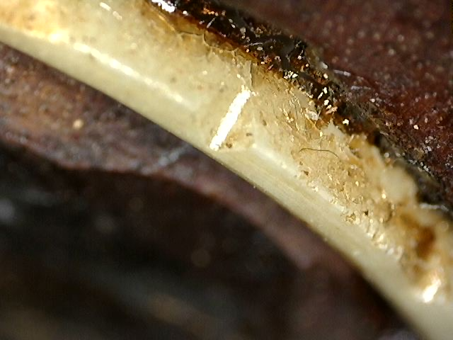 Chinees religieus Guanyin hoofd in hout