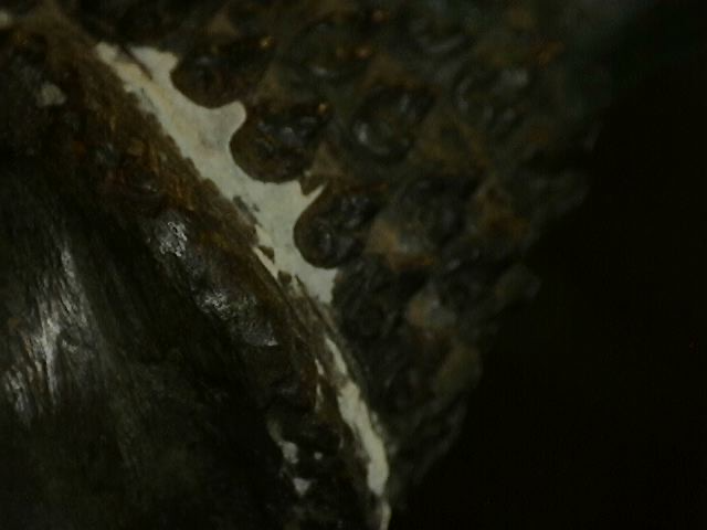 Microscoopdetail van minerale afzetting op antiek Thais bronzen beeld