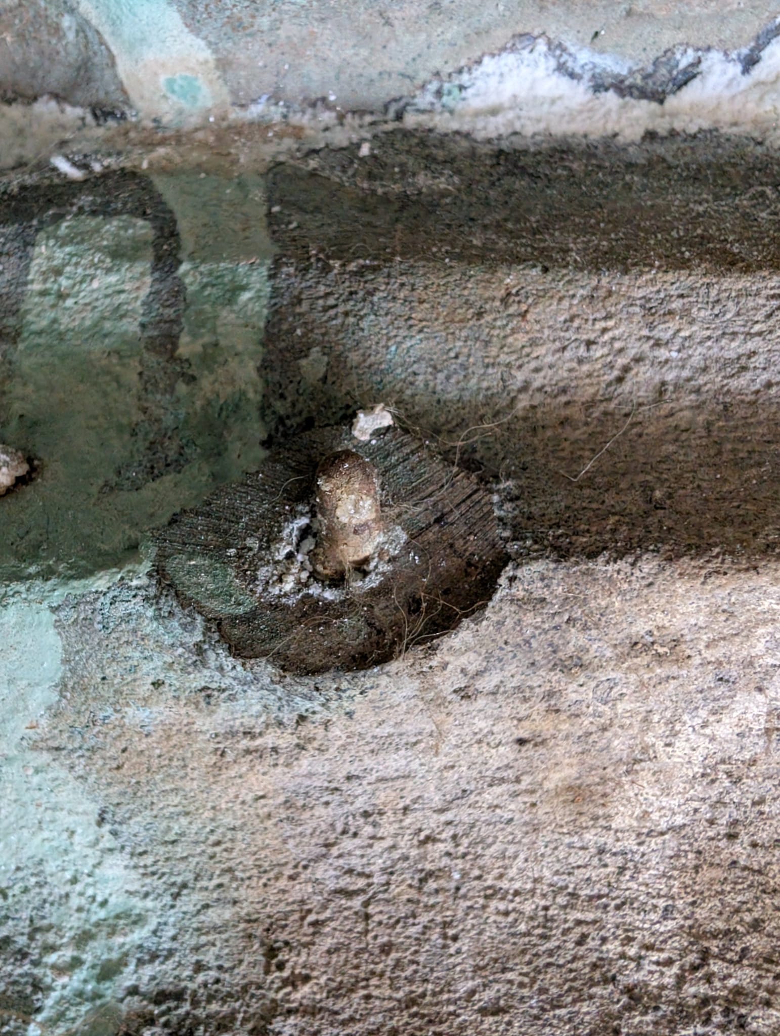 Thais Boeddhabeeld met klassieke en verfijnde gezichtskenmerken