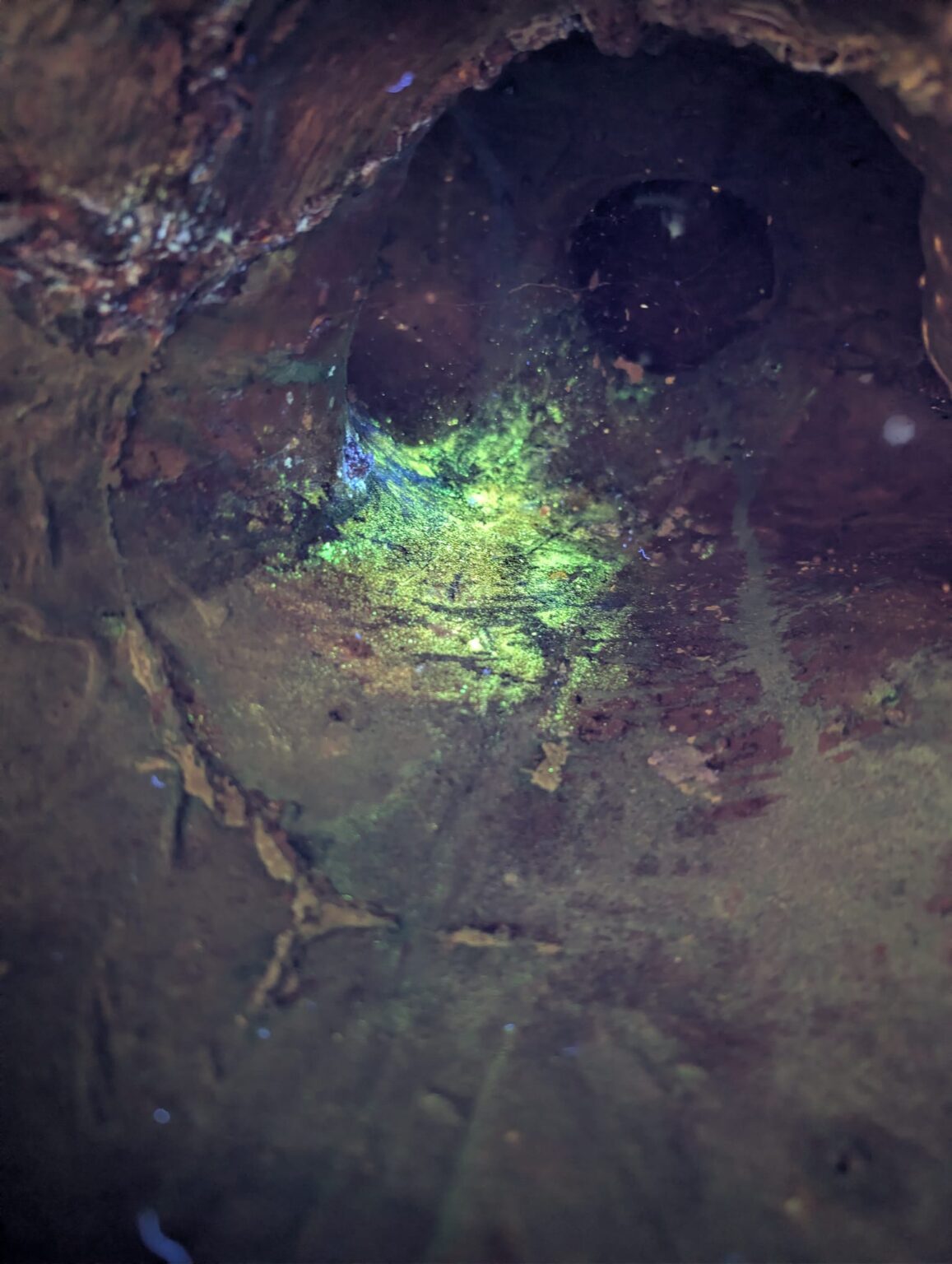 Vuurvergulde Buddha binnen met UVlamp